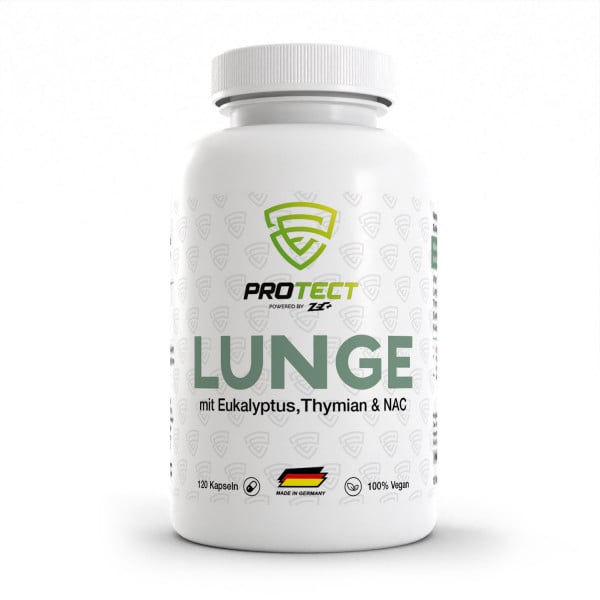 PROTECT LUNGE